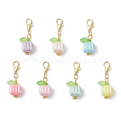 Acrylic Pendant Decorations&nbsp;HJEW-JM04185