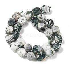 Natural Tree Agate Beads Strands&nbsp;GG-CBAF8A8-A04-01