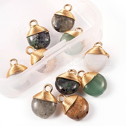 10Pcs 5 Style Natural Gemstone Pendants&nbsp;G-LS0002-08
