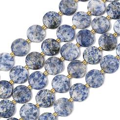 Natural Blue Spot Jasper Beads Strands&nbsp;G-A292-A10-01