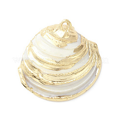 Natural Sea Shell Pendants&nbsp;X-SHEL-F005-06LG
