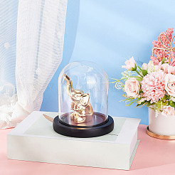 High Borosilicate Glass Dome Cloche&nbsp;DJEW-WH0018-23