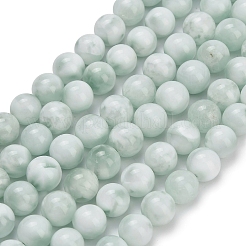 Glass Beads Strands&nbsp;G-L642-B18-8mm