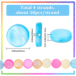 4 Strands Natural Freshwater Shell Beads Strands&nbsp;SHEL-SC0001-65
