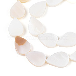 Natural Freshwater Shell Beads Strands&nbsp;SHEL-N038-07