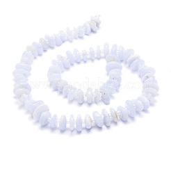 天然石ブルーレースアゲートビーズ連売り  ナゲット  8~11x9~14x1.5~5mm  穴：0.8mm  約74個/連  15.55''（39.5センチメートル）&nbsp;G-E569-J02
