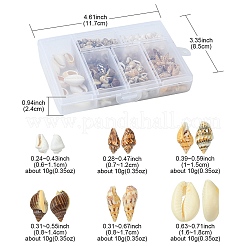 6 スタイルの天然混合カウリー シェル ビーズ セット  カウリのシェル  ミックスカラー  6~18x3~13x3~9mm&nbsp;BSHE-YW0001-05
