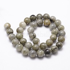 Natural Labradorite Bead Strands&nbsp;G-G735-29-8mm