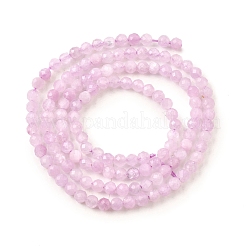 Natural Kunzite Beads Strands&nbsp;G-G259-D11-3mm