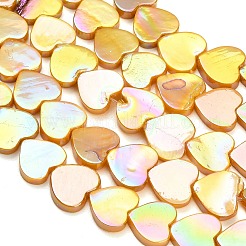 Natural Freshwater Shell Beads Strands&nbsp;SH-CBA93AD-06B