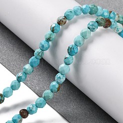 天然石ハウライトビーズ連売り  染め  多面カット  ラウンド  シアン  4mm  穴：1mm  約92~96個/連  15.24~15.35''（38~39センチメートル）&nbsp;G-C025-02C-06