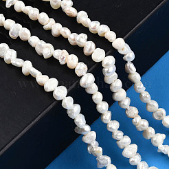 Natural Cultured Freshwater Pearl Beads Strands&nbsp;PEAR-N014-03B