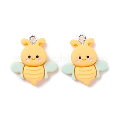 Opaque Resin Pendants&nbsp;RESI-F030-15
