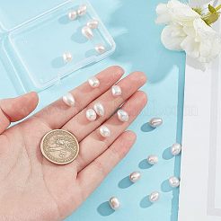 天然な培養された淡水パールビーズ  片穴  ライス  パープル  7.5~8.5x6.5~7mm  穴：1mm  20個/箱&nbsp;PEAR-NB0001-91A