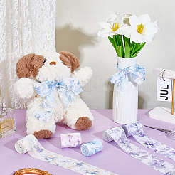 5 Rolls 5 Colors Polyester Ribbon&nbsp;OCOR-HY0001-60
