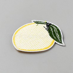 Polyester Clothing Patches&nbsp;DIY-WH0750-303