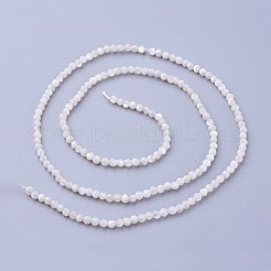 シェルビーズ連売り  多面カット  ラウンド  2~2.5mm  穴：0.5mm  約180~200個/連  14.5~16.1インチ（37~41cm）&nbsp;G-F619-27-2mm