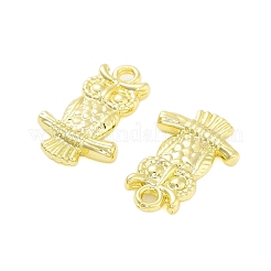 Rack Plating Alloy Pendants&nbsp;FIND-Q108-01G
