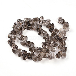 Natural Smoky Quartz Beads Strands&nbsp;G-B072-A01-01-01