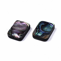 Natural Abalone Shell/Paua Shell Beads&nbsp;SSHEL-T014-11A