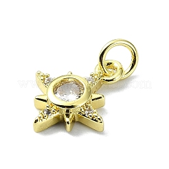 Brass Micro Pave Clear Cubic Zirconia Charms&nbsp;KK-H475-59G-06