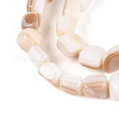 天然淡水シェルビーズ連売り  正方形  淡い茶色  5~8x6~7x5~6mm  穴：0.5~0.6mm  約60~61個/連  15.35~15.75インチ（39~40cm）&nbsp;BSHE-T014-51A