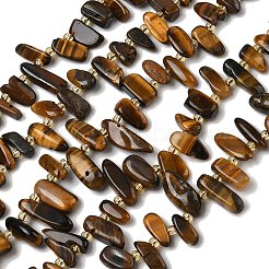 Natural Tiger Eye Beads Strands&nbsp;G-Z130-A01-01