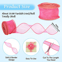 2 Rolls Polyester Mesh Ribbons&nbsp;SRIB-TA0003-42B