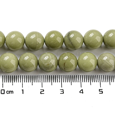 Natural Alashan Agate Beads Strands&nbsp;G-E598-03B-1