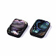 Natural Abalone Shell/Paua Shell Beads&nbsp;SSHEL-T014-11A-2