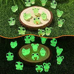 24Pcs 6 Styles Luminous Frog Resin Pendants&nbsp;RESI-YW0006-19