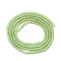 Natural Green Jade Beads Strands&nbsp;G-F808-E03-02