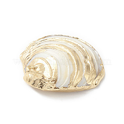 Natural Sea Shell Pendants&nbsp;SHEL-F005-06LG