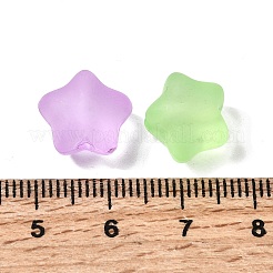 つや消し透明なアクリルビーズ  ミックスカラー  スター  11.5x12.5x9.5mm  穴：2.2mm&nbsp;FACR-C001-01B