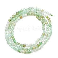Natural Chrysoprase Beads Strands&nbsp;G-H358-A04-3mm-02
