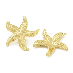 ヒトデ真鍮スタッドピアス  鉛フリー＆カドミウムフリー  18KGP本金メッキ  34x32mm&nbsp;EJEW-Q390-08G