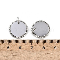 304 Stainless Steel Pendants&nbsp;STAS-L022-183P-03