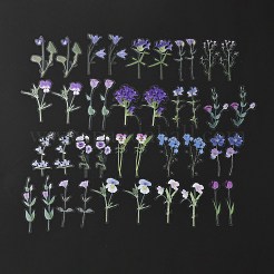 ペット用粘着防水シール40枚セット  DIYスクラップブックタンブラー用  花柄  8.1~10x2~5.8x0.015cm  40個/袋&nbsp;DIY-K032-56A