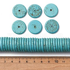 合成ハウライトビーズ  染め  ディスク/フラットラウンド  ダークターコイズ  20x3mm  穴：1mm  約450個/キログラム&nbsp;TURQ-20D-2-01