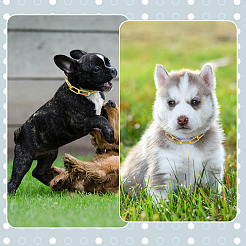 4Pcs Iron Chain Pet Collars&nbsp;NJEW-TADJ0001