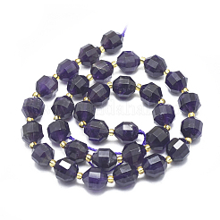Natural Amethyst Beads Strands&nbsp;G-K303-A01-10mm
