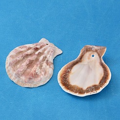 天然ホタテ貝殻ビーズ  シーシェルビーズ  染め  ミックスカラー  32~45x29~42x6~7mm  穴：2mm  約90個/500g&nbsp;BSHE-S108