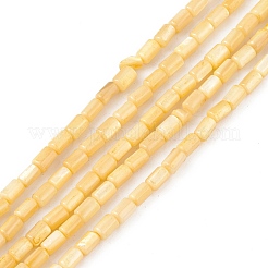 Natural Freshwater Shell Dyed Beads Strands&nbsp;SHEL-M018-12