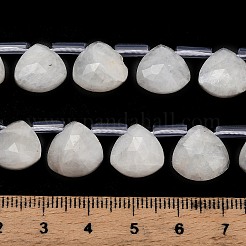 Natural Rainbow Moonstone Beads Strands&nbsp;G-C292-A01-01