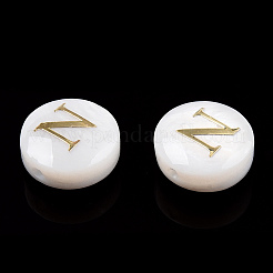 Natural Freshwater Shell Beads&nbsp;SHEL-N036-01N