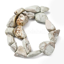 Natural Variscite Beads Strands&nbsp;G-D098-C09