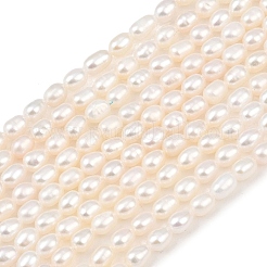天然養殖淡水パールビーズ連売り  ライス  グレード4a++  パパイヤホイップ  3.8~4.3mm  穴：0.5mm  約74~79個/連  15.35~15.75''（39~40センチメートル）&nbsp;PEAR-F020-10