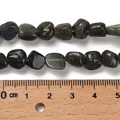 天然ラルビカイトビーズ連売り  ナゲット  タンブルストーン  7~13x4.5~10x4.5~10mm  穴：1.2mm  約44~46個/連  15.08~16.14インチ（38.3~41cm）&nbsp;G-P497-01E-85