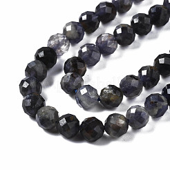 Natural Iolite/Cordierite/Dichroite Beads Strands&nbsp;G-T108-59