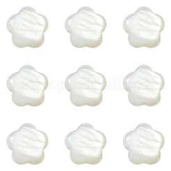 30Pcs Natural Freshwater Shell Beads&nbsp;SHEL-CJ0001-29
